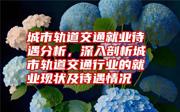 城市轨道交通就业待遇分析，深入剖析城市轨道交通行业的就业现状及待遇情况