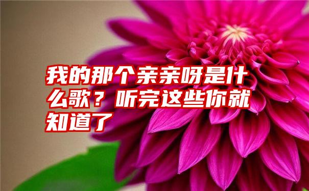 我的那个亲亲呀是什么歌？听完这些你就知道了