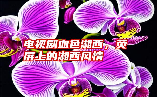 电视剧血色湘西，荧屏上的湘西风情