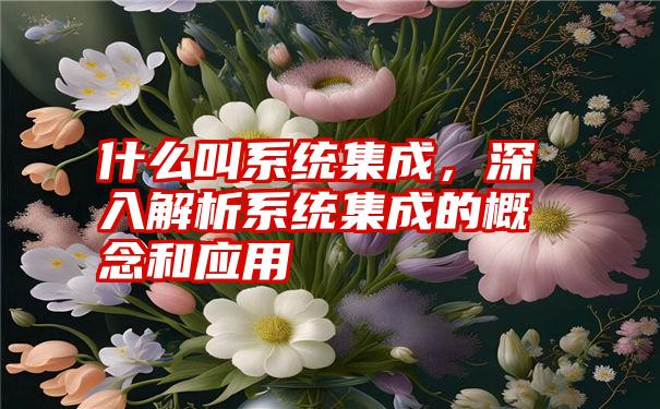 什么叫系统集成，深入解析系统集成的概念和应用