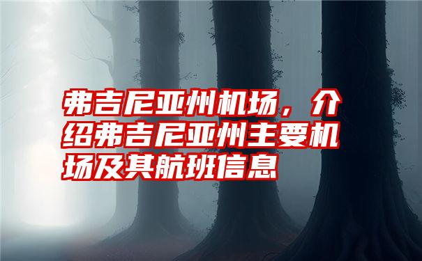 弗吉尼亚州机场，介绍弗吉尼亚州主要机场及其航班信息