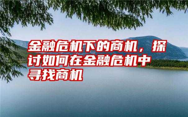 金融危机下的商机，探讨如何在金融危机中寻找商机