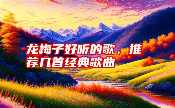 龙梅子好听的歌，推荐几首经典歌曲