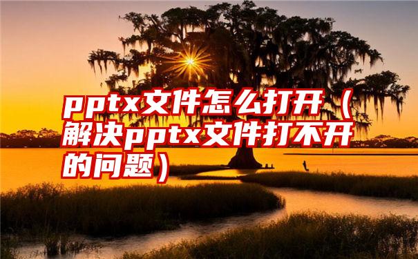 pptx文件怎么打开（解决pptx文件打不开的问题）