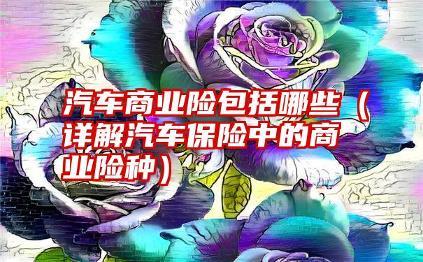 汽车商业险包括哪些（详解汽车保险中的商业险种）