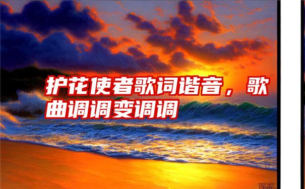 护花使者歌词谐音，歌曲调调变调调