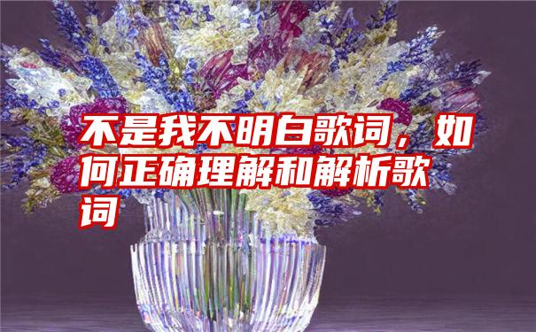 不是我不明白歌词，如何正确理解和解析歌词