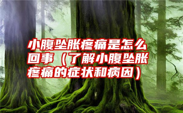 小腹坠胀疼痛是怎么回事（了解小腹坠胀疼痛的症状和病因）