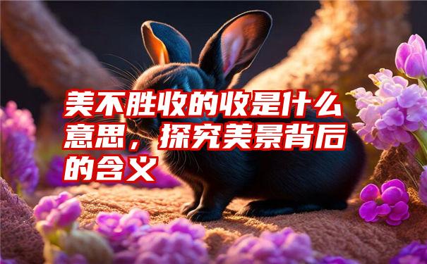 美不胜收的收是什么意思，探究美景背后的含义