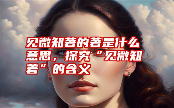 见微知著的著是什么意思，探究“见微知著”的含义