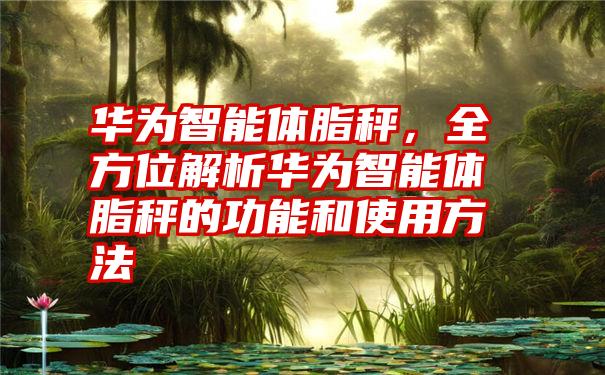 华为智能体脂秤，全方位解析华为智能体脂秤的功能和使用方法