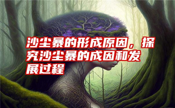 沙尘暴的形成原因，探究沙尘暴的成因和发展过程