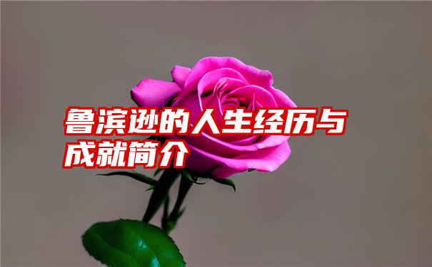 鲁滨逊的人生经历与成就简介