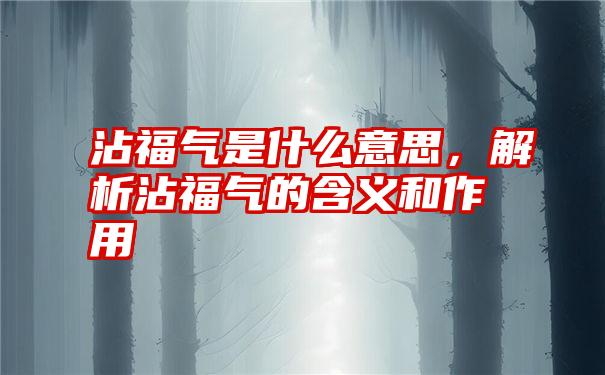 沾福气是什么意思，解析沾福气的含义和作用