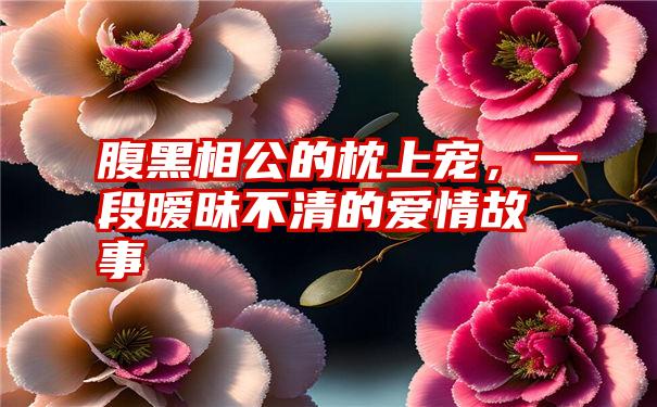 腹黑相公的枕上宠，一段暧昧不清的爱情故事