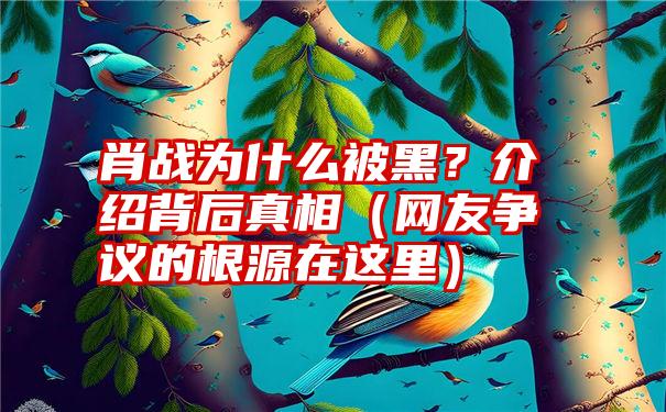 肖战为什么被黑？介绍背后真相（网友争议的根源在这里）