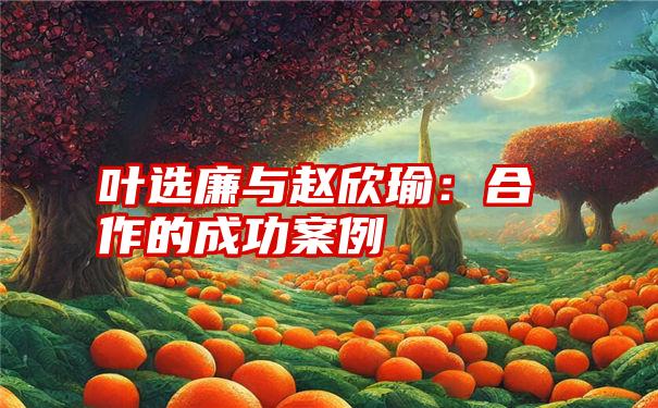 叶选廉与赵欣瑜：合作的成功案例