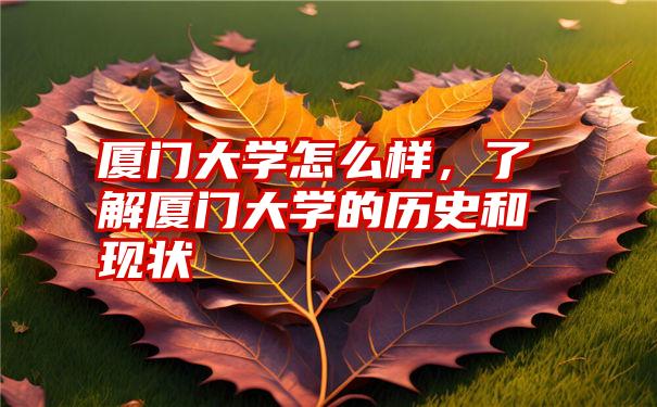 厦门大学怎么样，了解厦门大学的历史和现状