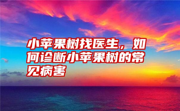 小苹果树找医生，如何诊断小苹果树的常见病害