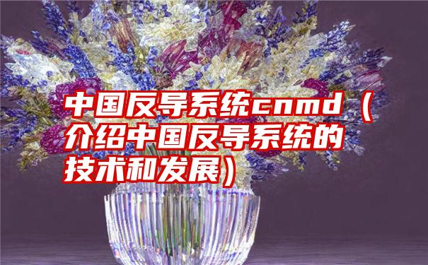 中国反导系统cnmd（介绍中国反导系统的技术和发展）