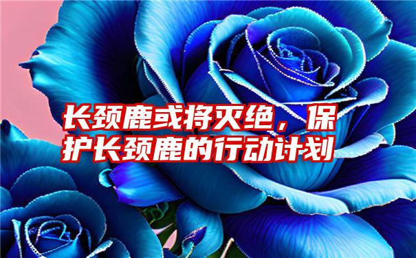 长颈鹿或将灭绝，保护长颈鹿的行动计划