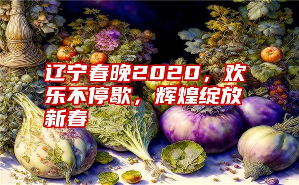 辽宁春晚2020，欢乐不停歇，辉煌绽放新春