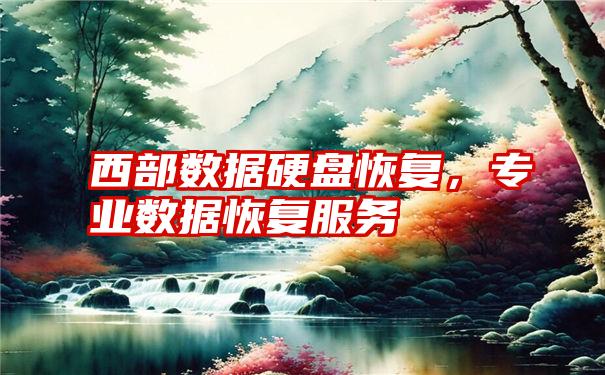 西部数据硬盘恢复，专业数据恢复服务