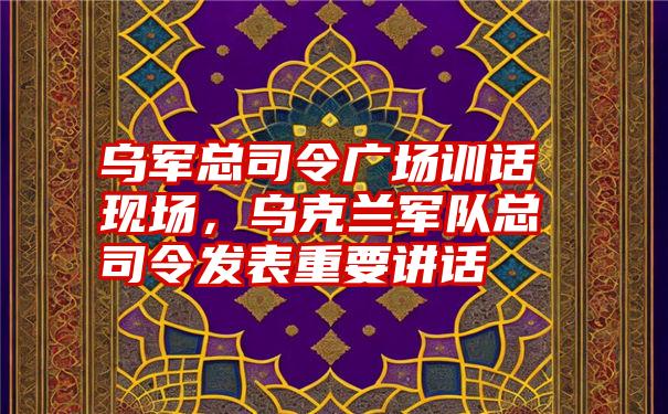 乌军总司令广场训话现场，乌克兰军队总司令发表重要讲话