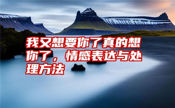 我又想要你了真的想你了，情感表达与处理方法