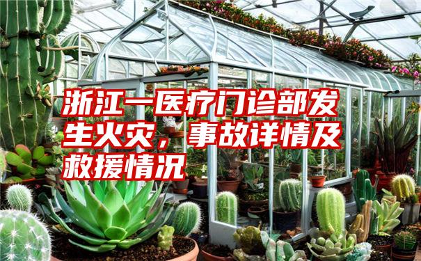 浙江一医疗门诊部发生火灾，事故详情及救援情况