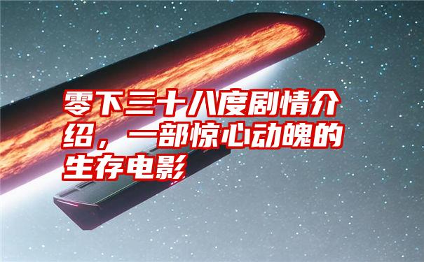 零下三十八度剧情介绍,一部惊心动魄的生存电影