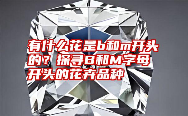 有什么花是b和m开头的？探寻B和M字母开头的花卉品种