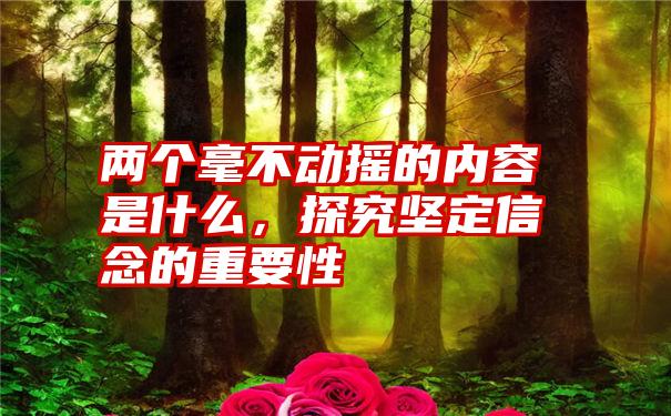 两个毫不动摇的内容是什么，探究坚定信念的重要性