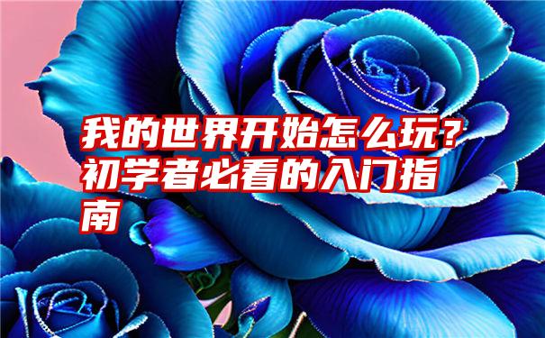 我的世界开始怎么玩？初学者必看的入门指南