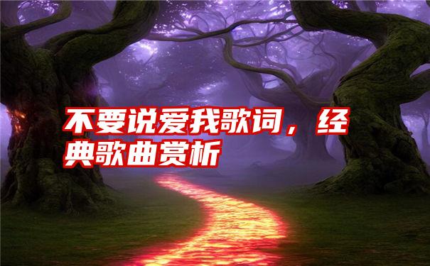 不要说爱我歌词,经典歌曲赏析