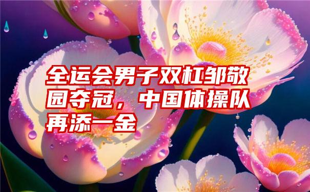 全运会男子双杠邹敬园夺冠，中国体操队再添一金