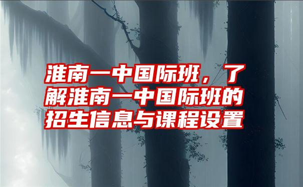 淮南一中国际班,了解淮南一中国际班的招生信息与课程设置