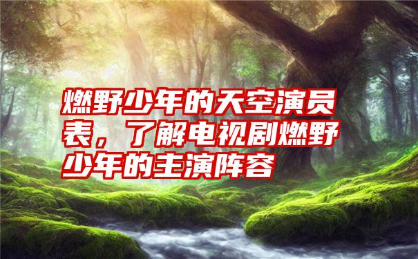 燃野少年的天空演员表，了解电视剧燃野少年的主演阵容