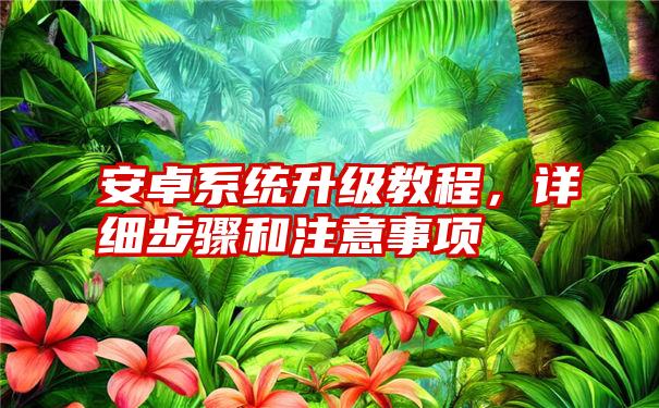 安卓系统升级教程,详细步骤和注意事项