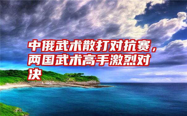 中俄武术散打对抗赛，两国武术高手激烈对决