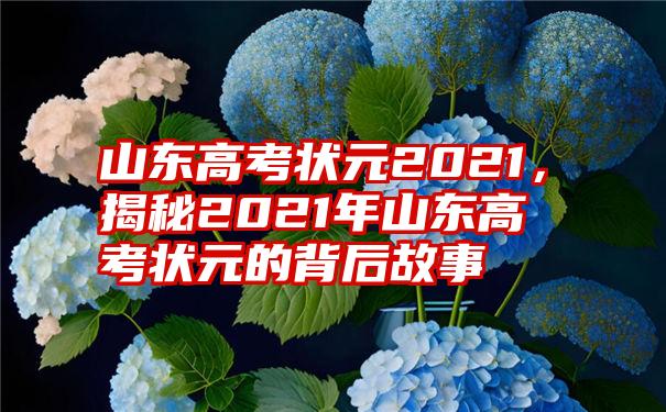 山东高考状元2021，揭秘2021年山东高考状元的背后故事