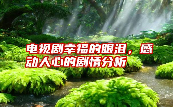 电视剧幸福的眼泪,感动人心的剧情分析