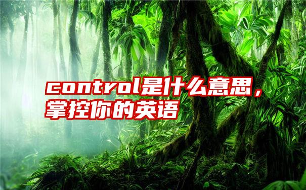 control是什么意思，掌控你的英语