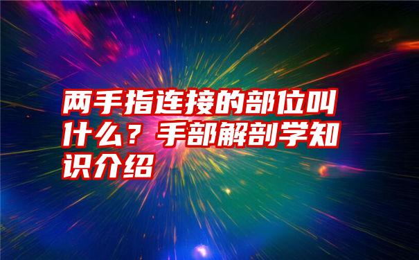 两手指连接的部位叫什么？手部解剖学知识介绍