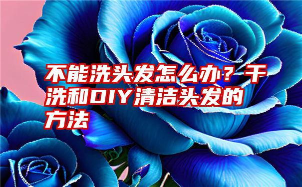 不能洗头发怎么办？干洗和DIY清洁头发的方法