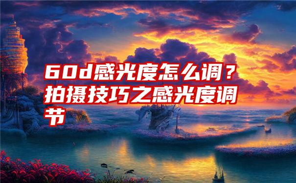 60d感光度怎么调？拍摄技巧之感光度调节