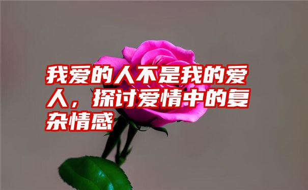 我爱的人不是我的爱人，探讨爱情中的复杂情感