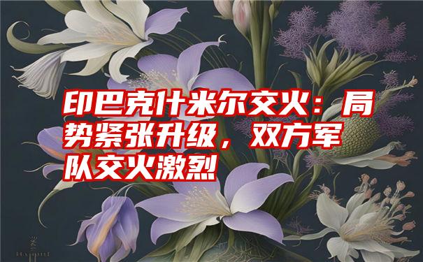 印巴克什米尔交火：局势紧张升级，双方军队交火激烈