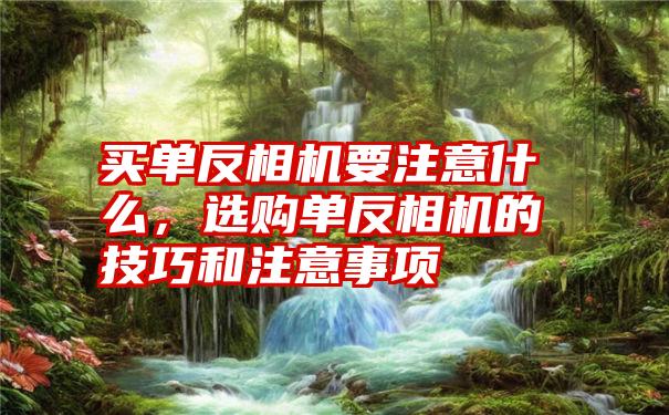 买单反相机要注意什么，选购单反相机的技巧和注意事项