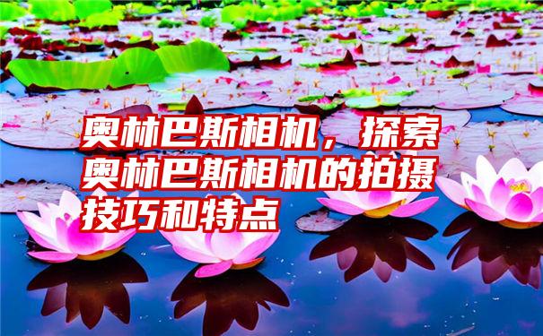 奥林巴斯相机，探索奥林巴斯相机的拍摄技巧和特点